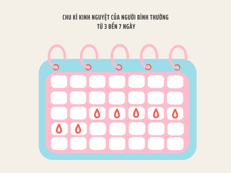 chu kì kinh nguyệt của người bình thường từ 3 đến 7 ngày