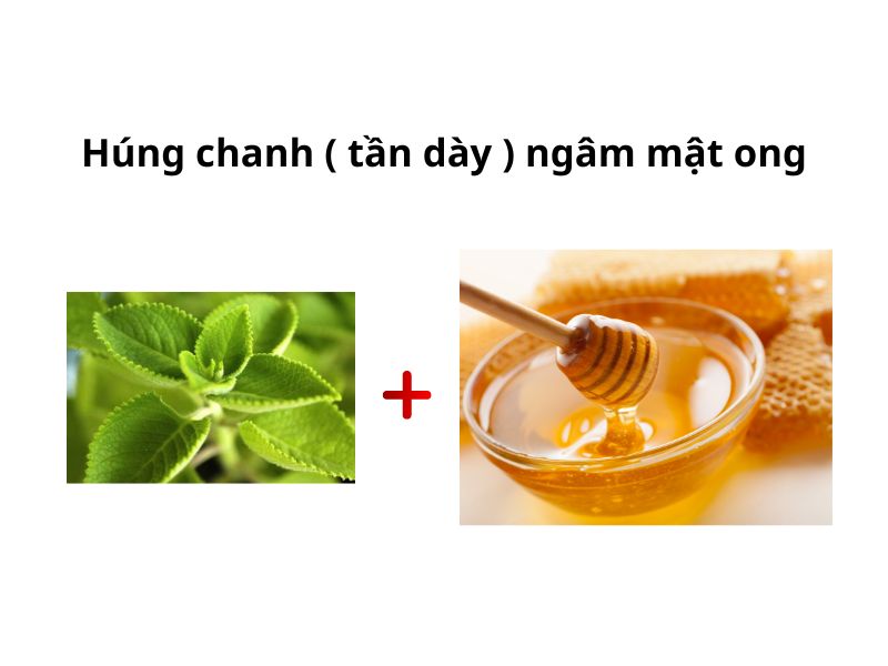 Cách làm húng chanh ngâm mật ong
