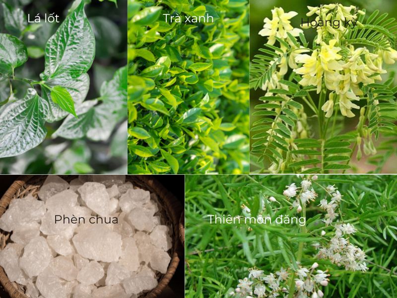 5 loại thảo dược trị ra mồ hôi hiệu quả