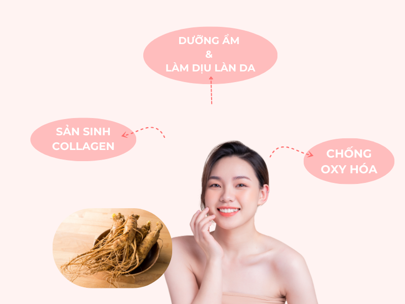 Nhân sâm giúp da khỏe đẹp rạng ngời