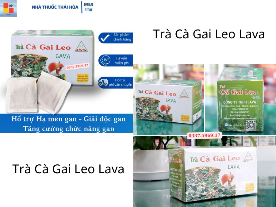 Trà Cà Gai Leo Lava - Hổ Trợ Tăng Cường Chức Năng Gan - Giải Độc Gan - Hạ Men Gan