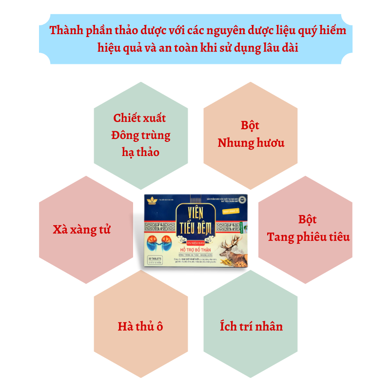 Thành phần Viên tiểu đêm An Niệu Đan