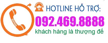 hotline Nguyên Việt