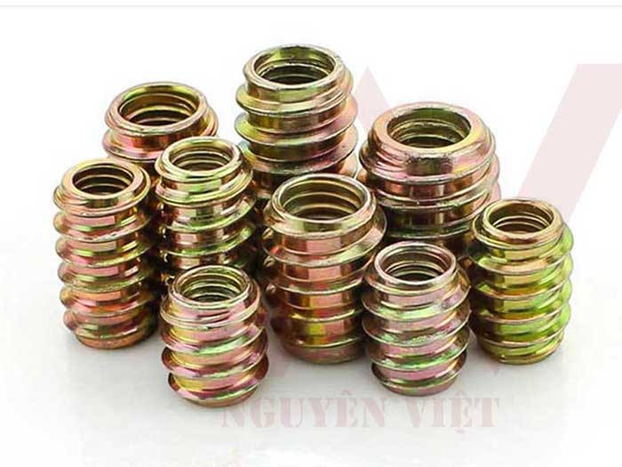 sò sắt có Nguyên Việt luôn đủ số lượng cung ứng thị trường