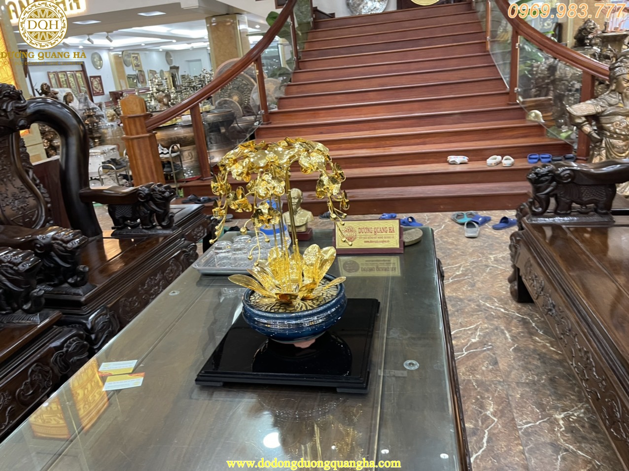 HOA LAN HỒ ĐIỆP MẠ VÀNG 24K