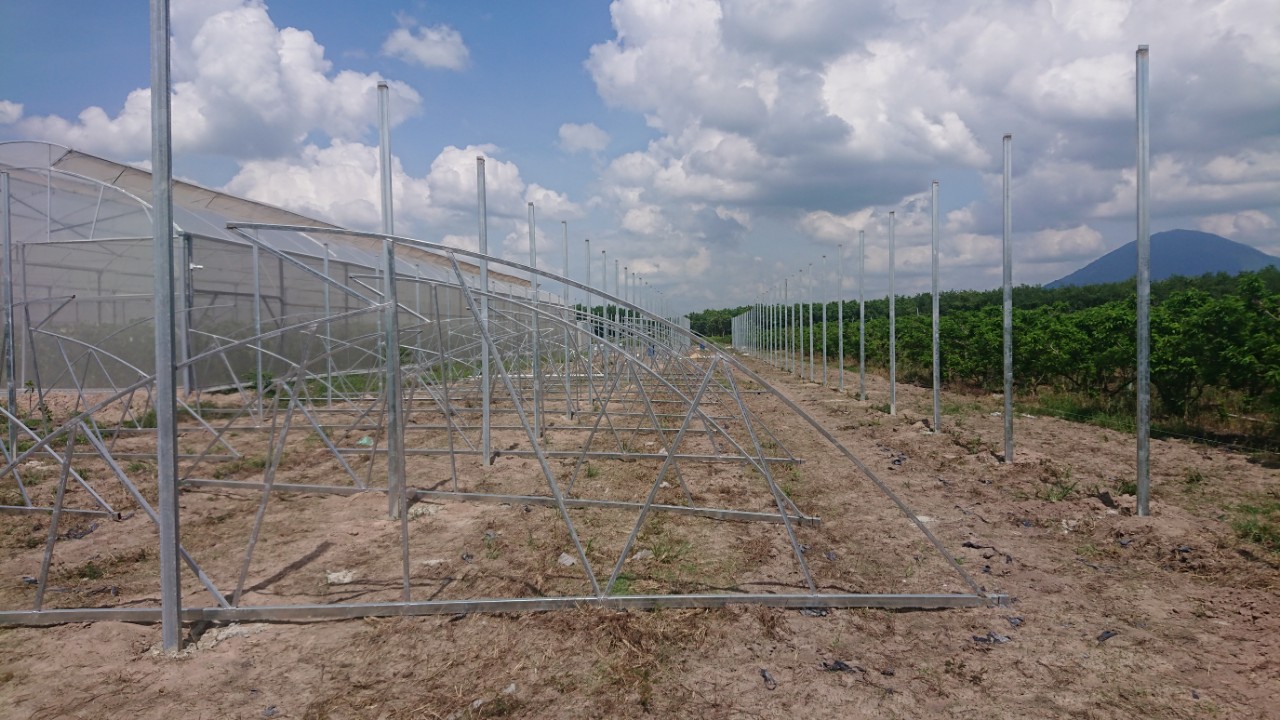 Truy xuất nguồn gốc vườn dưa lưới LaniFarm TN11 Truy xuất nguồn gốc vườn dưa lưới LaniFarm TN11