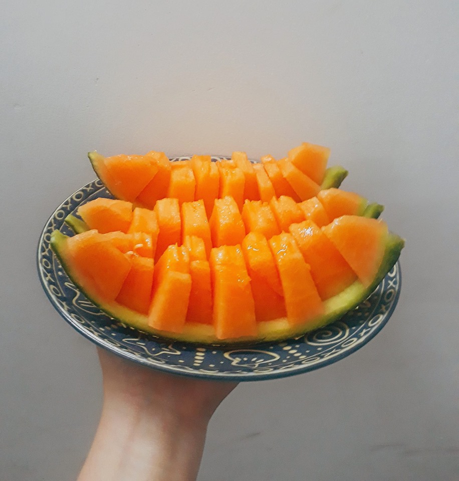 Truy xuất nguồn gốc vườn dưa lưới LaniFarm TN03 Truy xuất nguồn gốc vườn dưa lưới LaniFarm TN03