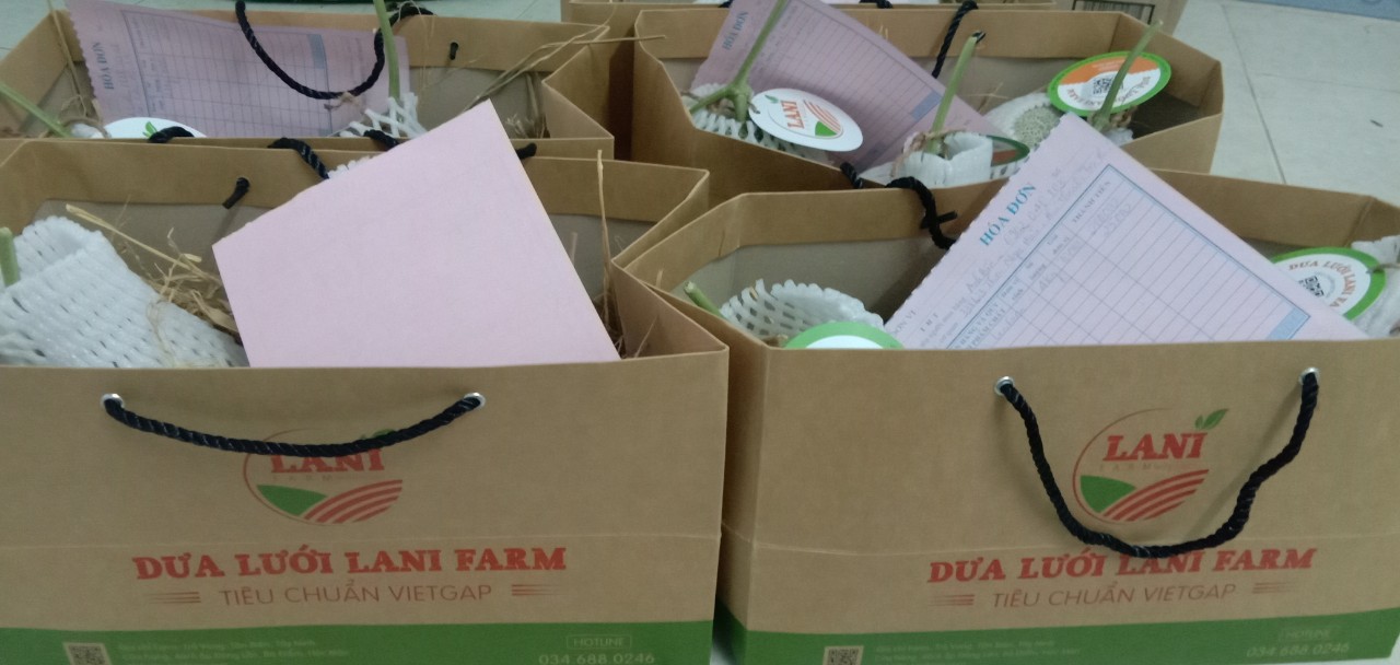 Truy xuất nguồn gốc vườn dưa lưới LaniFarm TN06 Truy xuất nguồn gốc vườn dưa lưới LaniFarm TN06