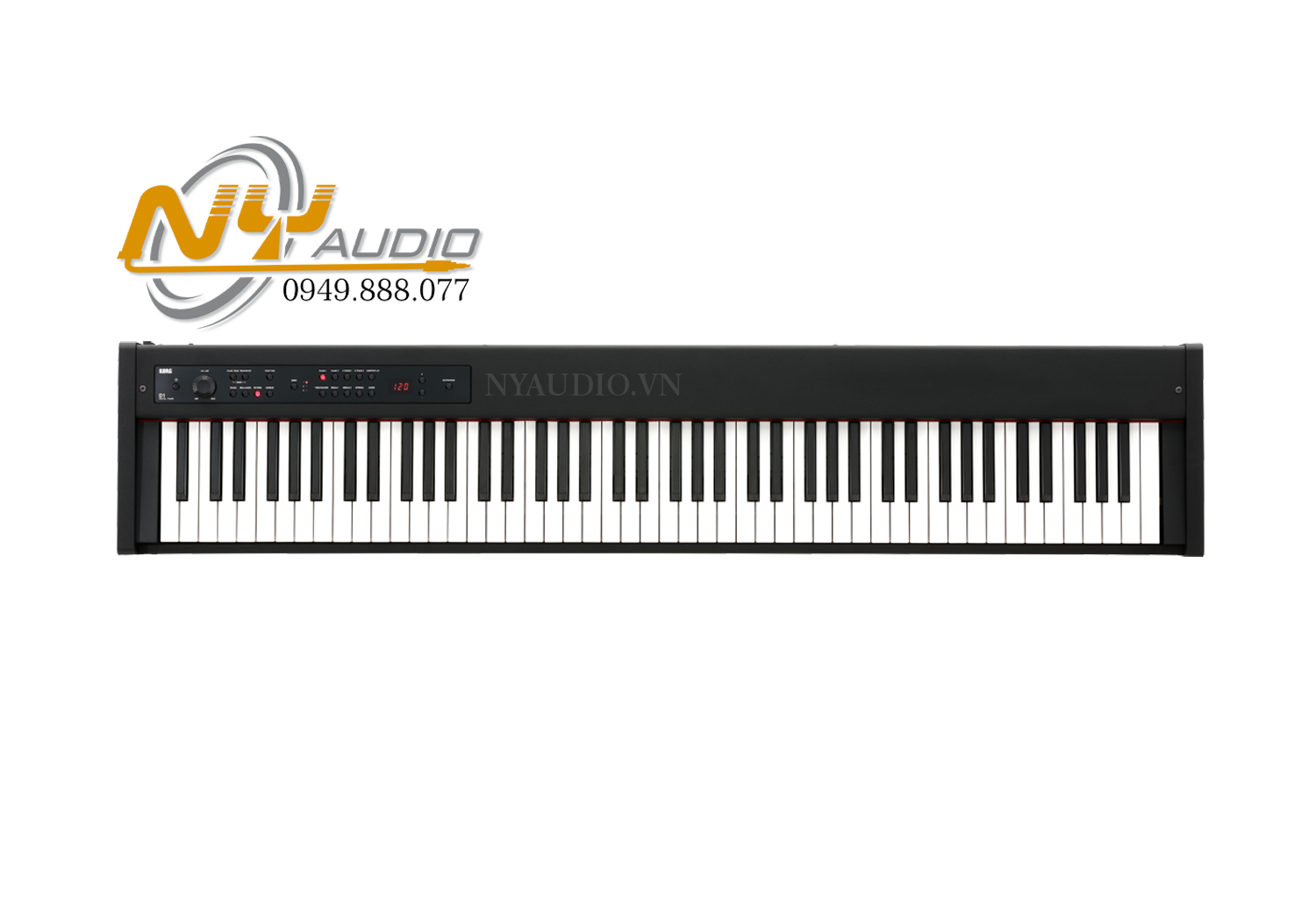 Đàn Piano điện Korg D1 Hàng nhập khẩu chính hãng