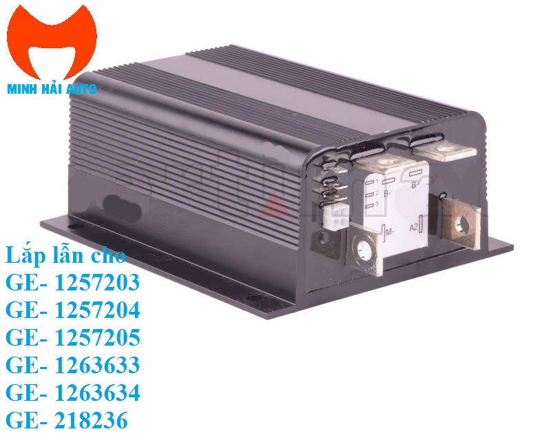 Bộ điều khiển ECU lắp cho GE: 1252703, 1250704, 1250705, 1263633, 1263634, 218236