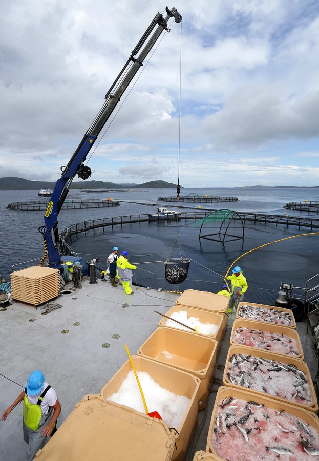 Cẩu lắp tàu thủy khai thác ngoài khơi offshore- 1