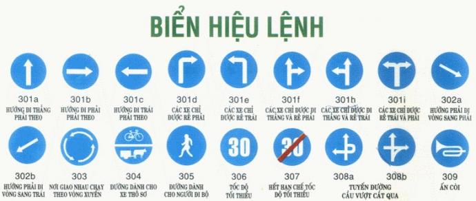 Trung tâm đào tạo lái xe Trung tâm đào tạo lái xe
