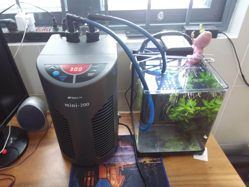 Thường xuyên vệ sinh tấm lọc gió để máy chiller mini hồ cá tăng được tuổi thọ