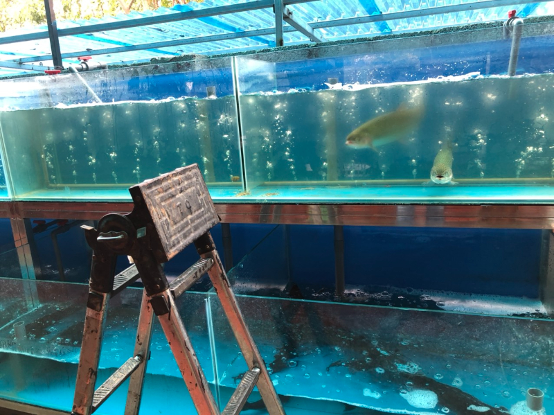 Sử dụng máy điều hòa nguyên khối dễ dàng di chuyển