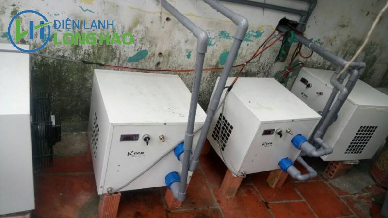 Máy làm lạnh nước hồ hải sản