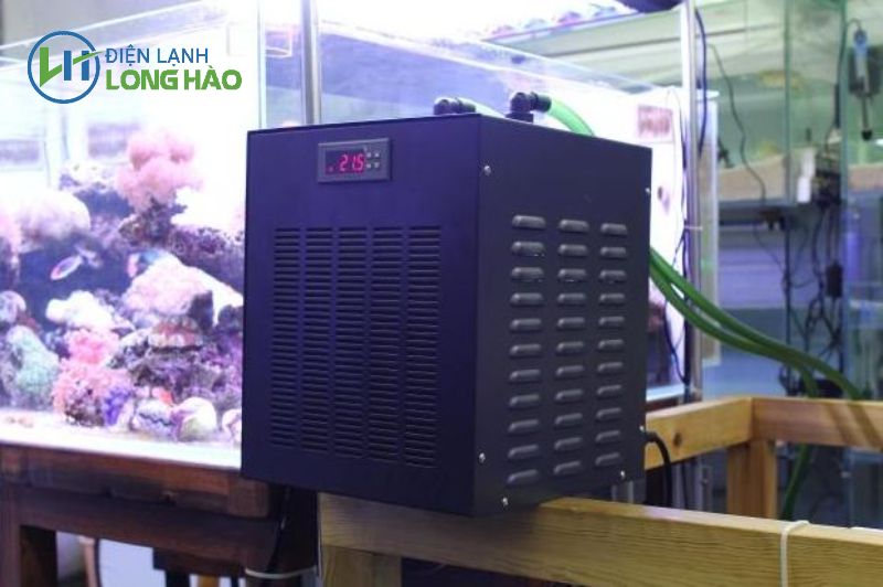 Khi nào chúng ta cần mua máy làm lạnh nước hồ thủy sinh