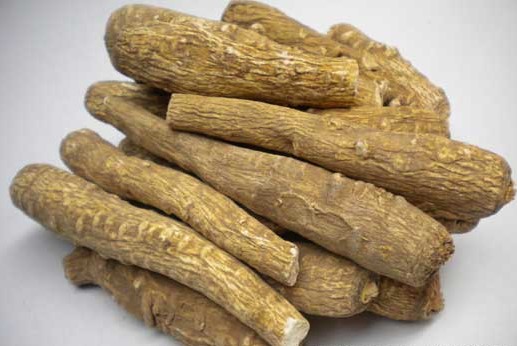 Bạch chỉ - Công năng và tác dụng