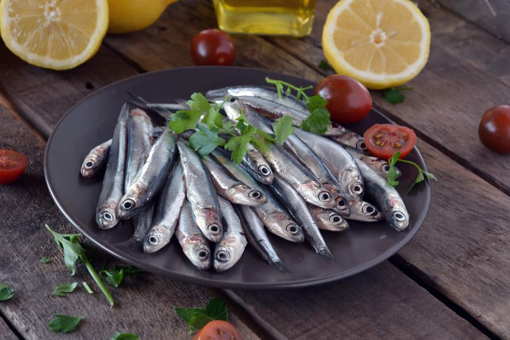 Cá cơm có chiều dài tối đa là 50 cm, thường dưới 15 cm, chủ yếu sống trong nước mặn