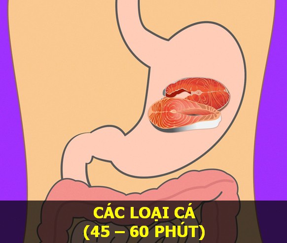 Cá - Thời gian tiêu hóa: 45–60 phút