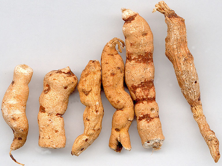 Cam Toại - Công năng và tác dụng