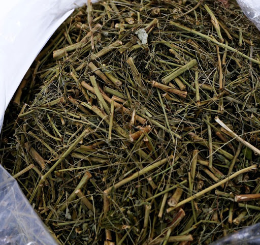 Diệp Hạ Châu - Công năng và tác dụng