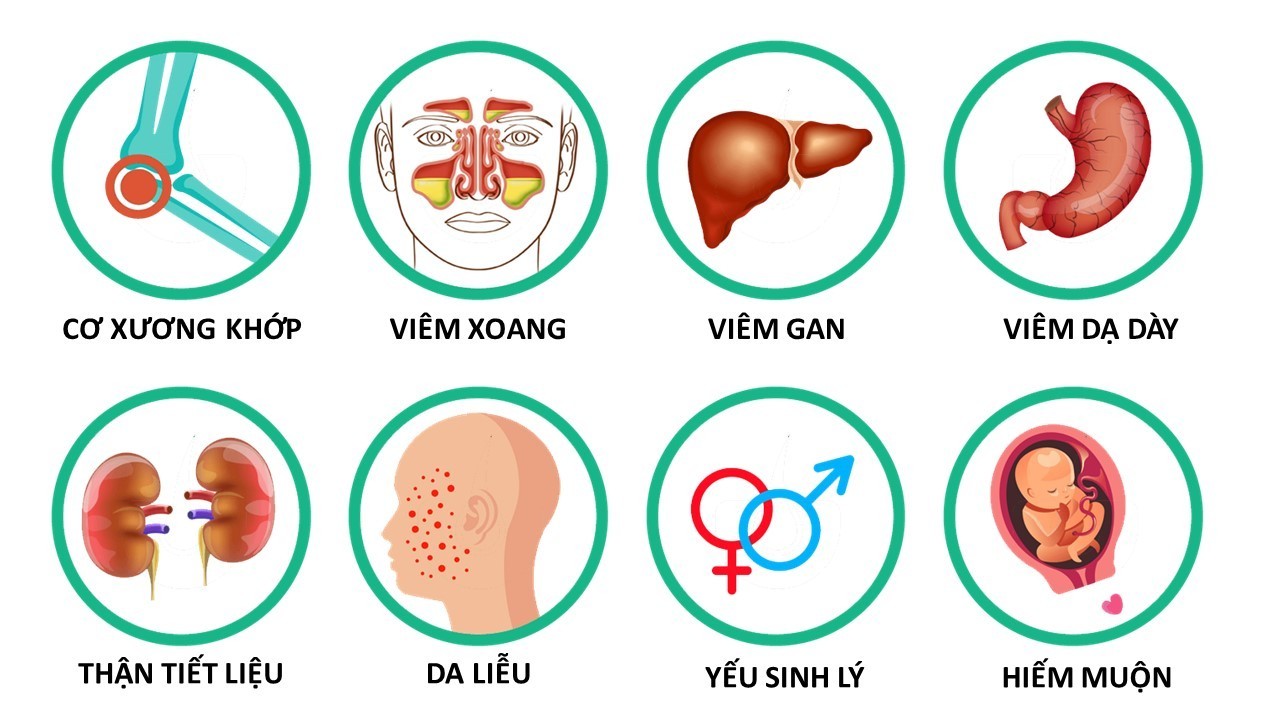 Các bệnh điều trị hiệu quả tại Phòng khám Đông y Phúc Thành