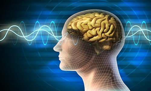 Giác quan thứ 6 của con người