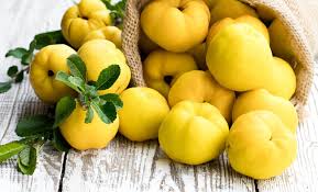 Mộc Qua - Công năng và tác dụng