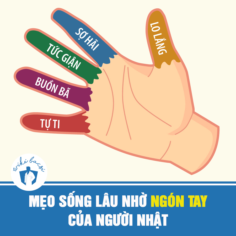 Mỗi ngón tay đều có sự kết nối chặt chẽ với các bộ phận cơ thể chịu trách nhiệm cho những cảm xúc nhất định
