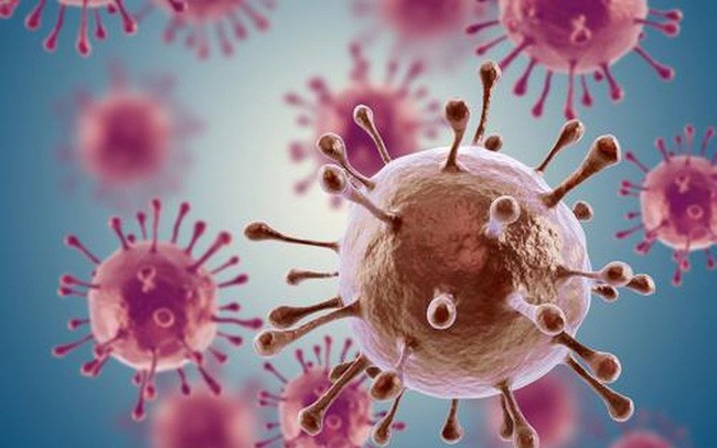 Rau má còn góp phần ngăn ngừa sự phát triển của tế bào ung thư