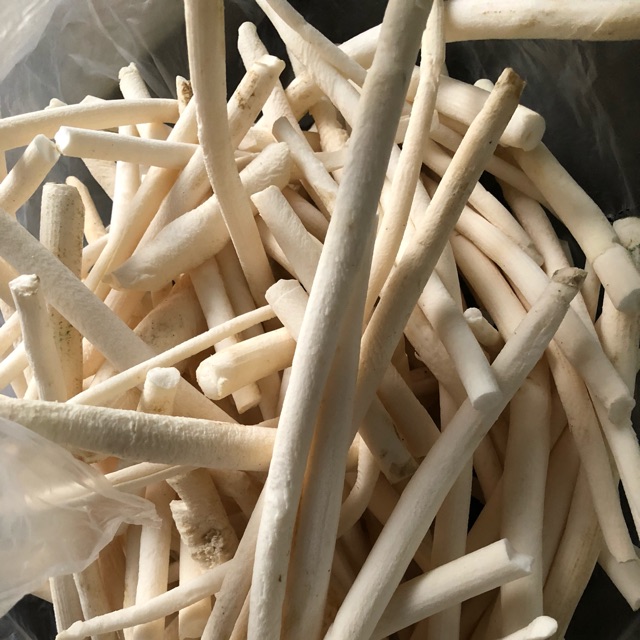 Thông Thảo - Công năng và tác dụng