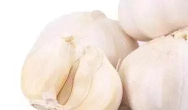 Trị viêm mũi, viêm xoang bằng đông y