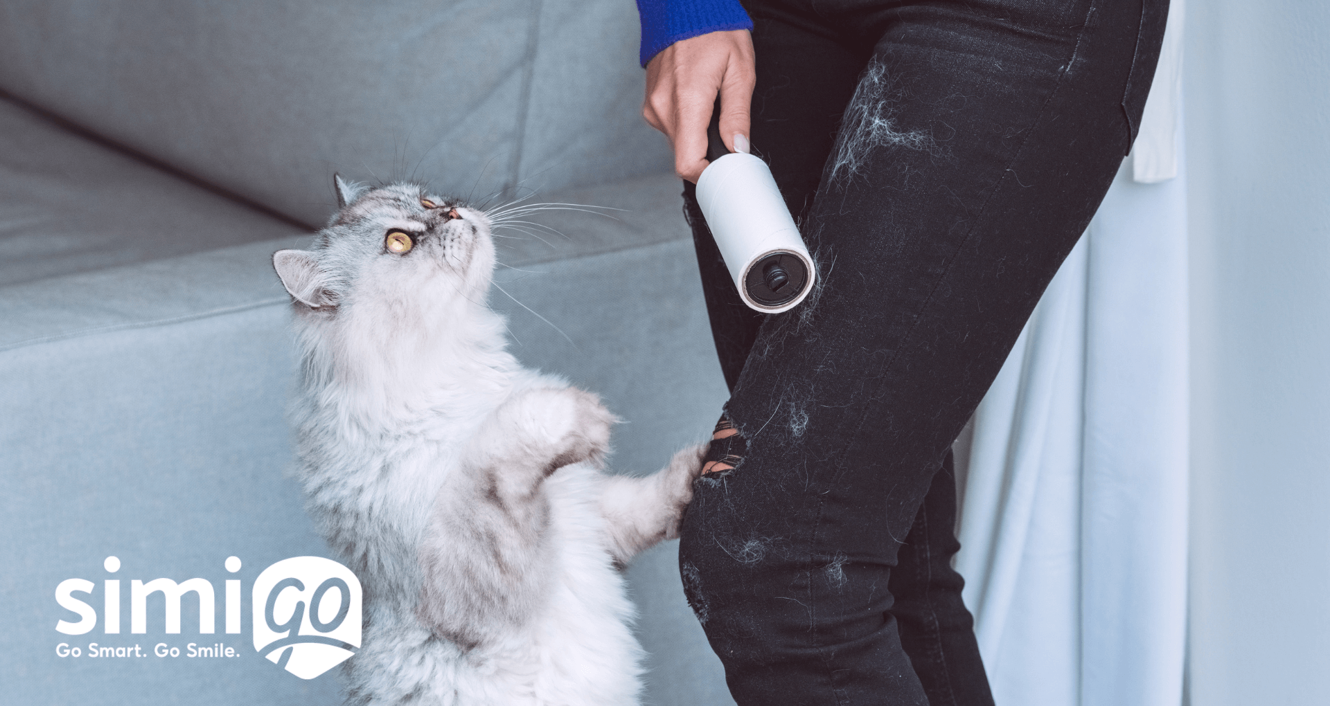 bi-quyet-don-long-cho-meo-hieu-qua