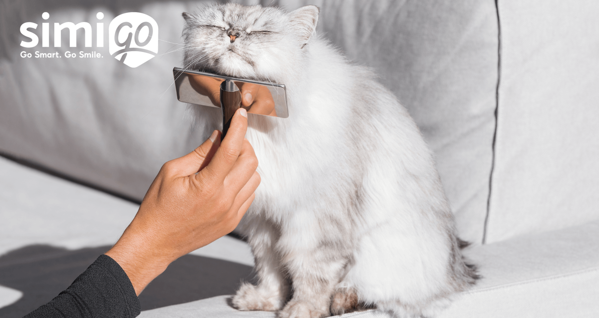 bi-quyet-don-long-cho-meo-hieu-qua