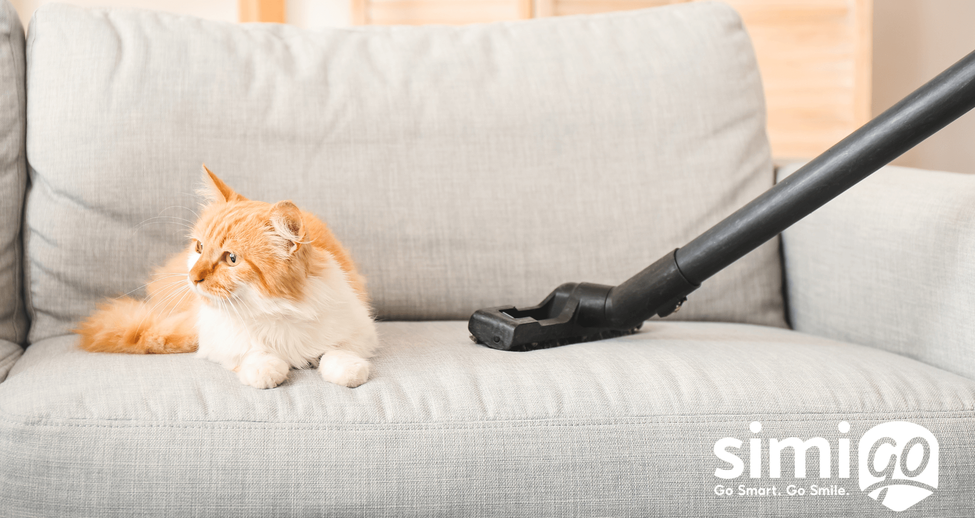 bi-quyet-don-long-cho-meo-hieu-qua