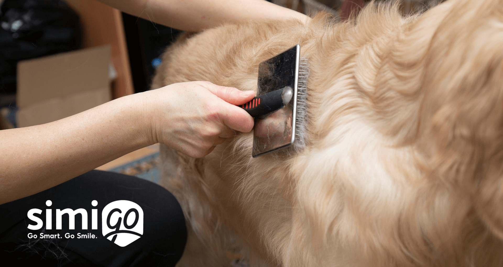 bi-quyet-don-long-cho-meo-hieu-qua