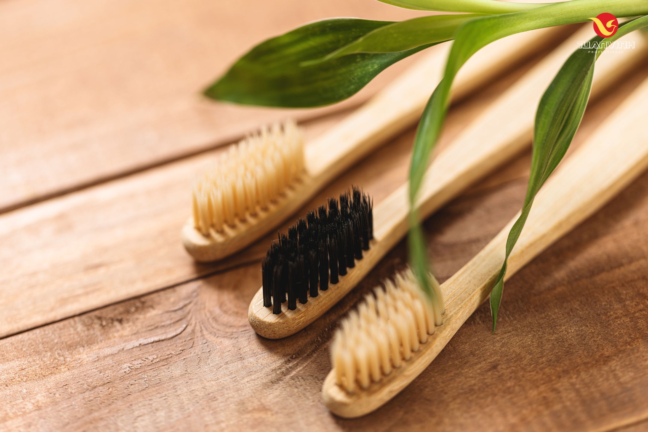 Bàn chải tre thân thiện với môi trường