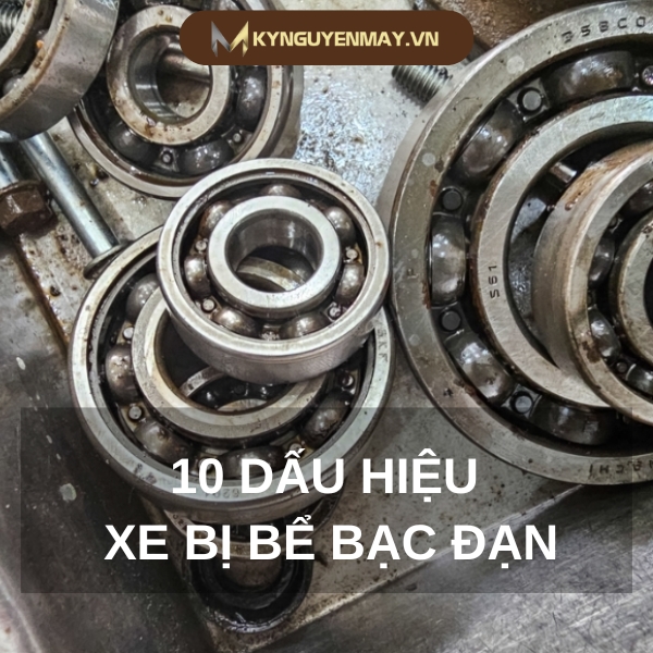 10 Dấu hiệu xe bị bể bạc đạn