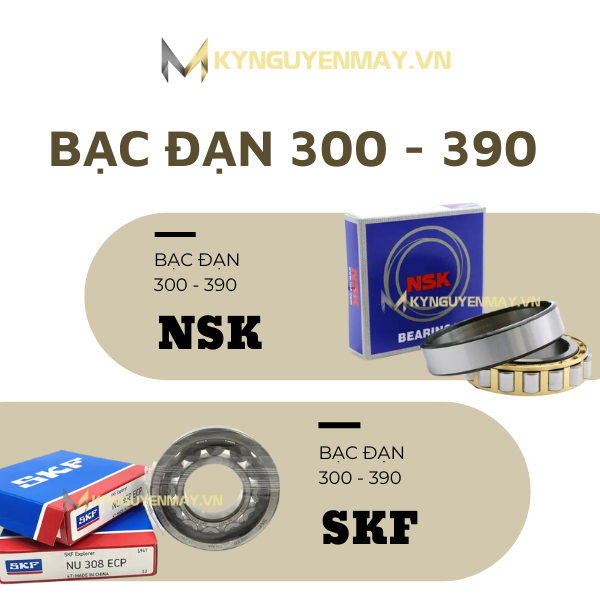 Bạc đạn NU 300 - NU 390