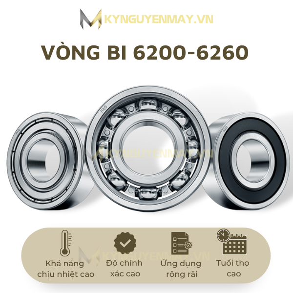 Bạc đạn NSK 6201