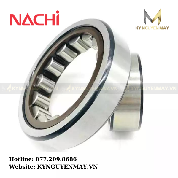 Bạc đạn NU 1014