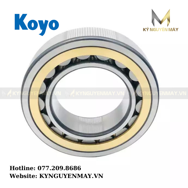 Bạc đạn NU 1016