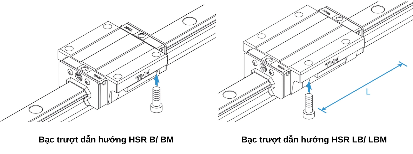 Phân loại bạc trượt dẫn hướng HSR B/ BM/ LB/ LBM