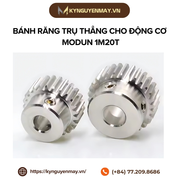 Bánh răng trụ thẳng cho động cơ modun 1 kiểu M20T
