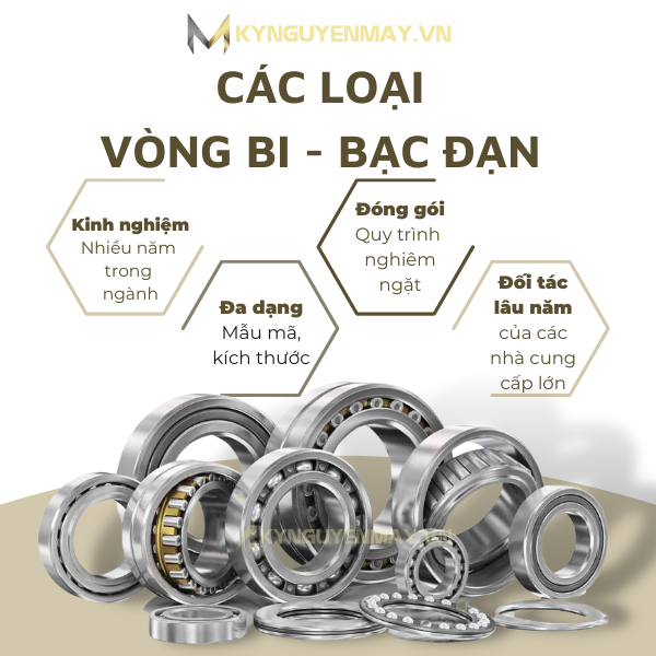 vòng bi các loại (bạc đạn các loại)