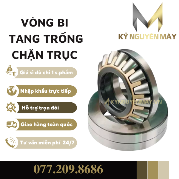 Các loại ổ lăn tang trống chặn trục