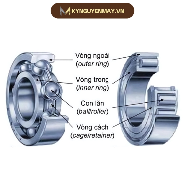 Cấu tạo vòng bi TPI