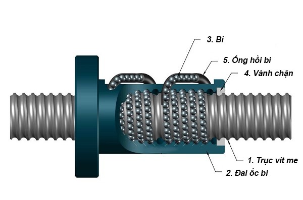 Cấu tạo vitme bi