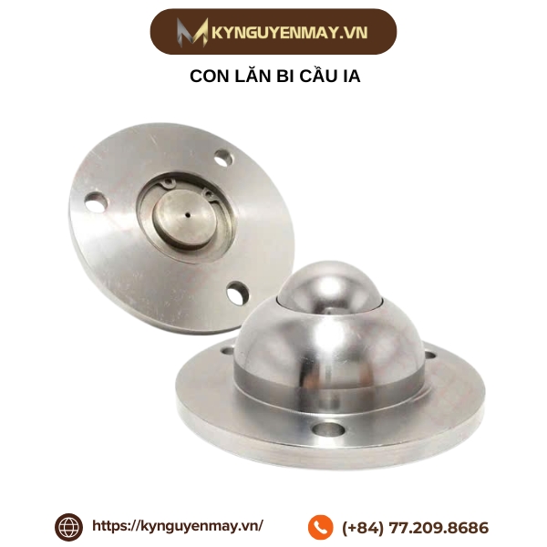 Con lăn bi cầu IA