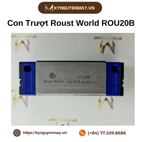 Con trượt ROUST WORLD ROU20B là gì?